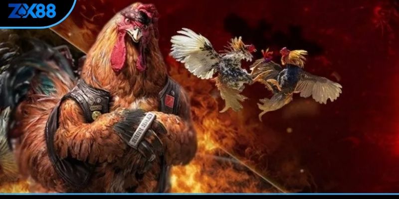 Những lưu ý khi chọn sừng của dậu chọi